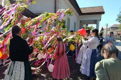 majusfa-allitas-26-035