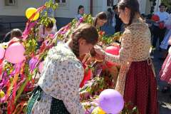 majusfa-allitas-26-036