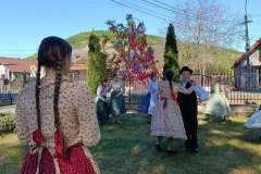 majusfa-allitas-26-047