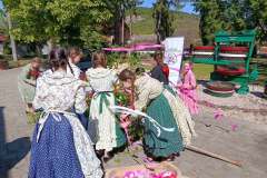 majusfa-allitas-26-049