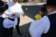 majusfa-allitas-26-051