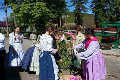 majusfa-allitas-26-055