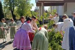 majusfa-allitas-26-056