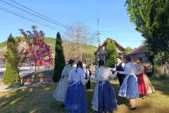majusfa-allitas-26-057