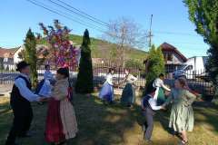 majusfa-allitas-26-060