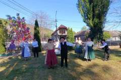 majusfa-allitas-26-061