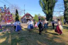 majusfa-allitas-26-062