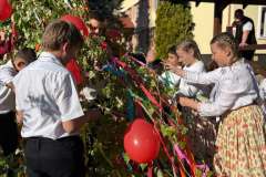 majusfa-allitas-26-072