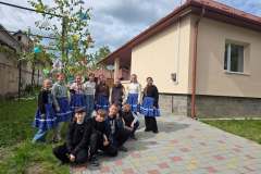majusfa-allitas-26-081