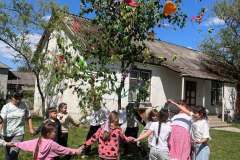majusfa-allitas-26-082