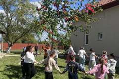 majusfa-allitas-26-083