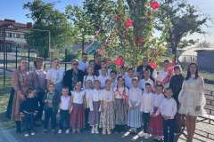 majusfa-allitas-26-090