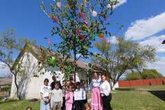 majusfa-allitas-26-092