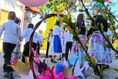 majusfa-allitas-26-101