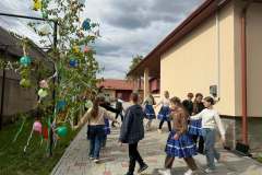 majusfa-allitas-26-110
