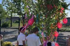 majusfa-allitas-26-116
