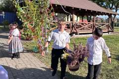 majusfa-allitas-26-118