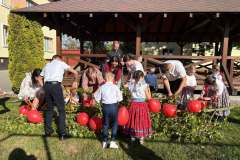 majusfa-allitas-26-121