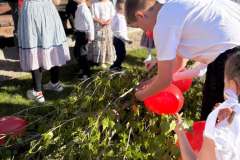 majusfa-allitas-26-125