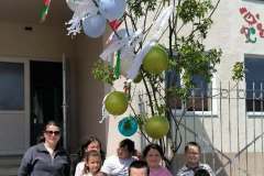 majusfa-allitas-26-126