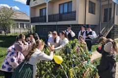 majusfa-allitas-26-131