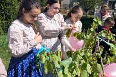 majusfa-allitas-26-132