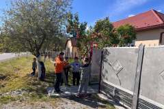 majusfa-allitas-26-135