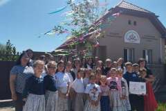 majusfa-allitas-26-147