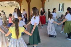 majusfa-allitas-26-152