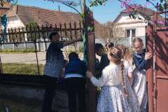 majusfa-allitas-26-156