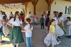 majusfa-allitas-26-164