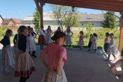 majusfa-allitas-26-165