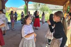 majusfa-allitas-26-167