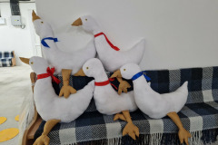 marton-nap-tanodak-25-009