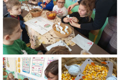 marton-nap-tanodak-25-143