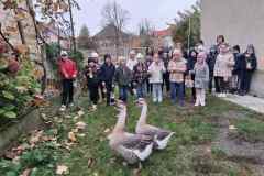 marton-nap-tanodak-25-220