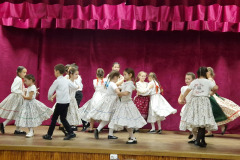 tulipan-nagybereg-jotekonysagi-05