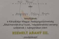 altal-mennek-en-a-tiszan-26-07