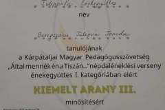 altal-mennek-en-a-tiszan-26-09