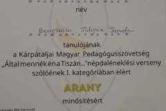 altal-mennek-en-a-tiszan-26-11