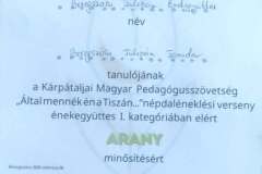 altal-mennek-en-a-tiszan-26-12