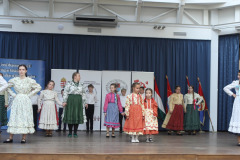 osszetartozas-tanca-beregszasz-2025-53