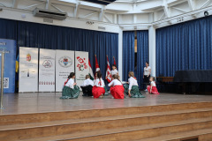osszetartozas-tanca-beregszasz-2025-95