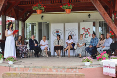osszetartozas-tanca-csepe-2025-03