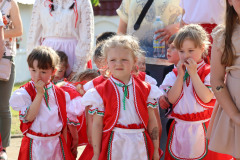osszetartozas-tanca-tiszaujhely-2025-29