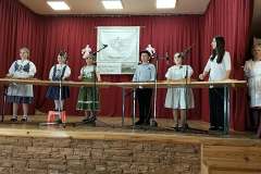 szalokai-citerasok-sarreten-3