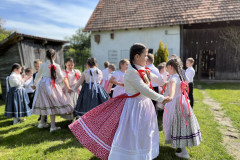 IMG_8868