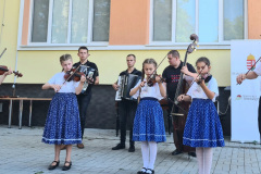 utnt-zaro-7