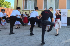 utnt-zaro-9