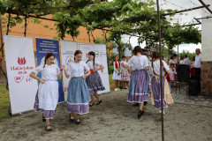 zarokoncert-tekehaza-2026-61